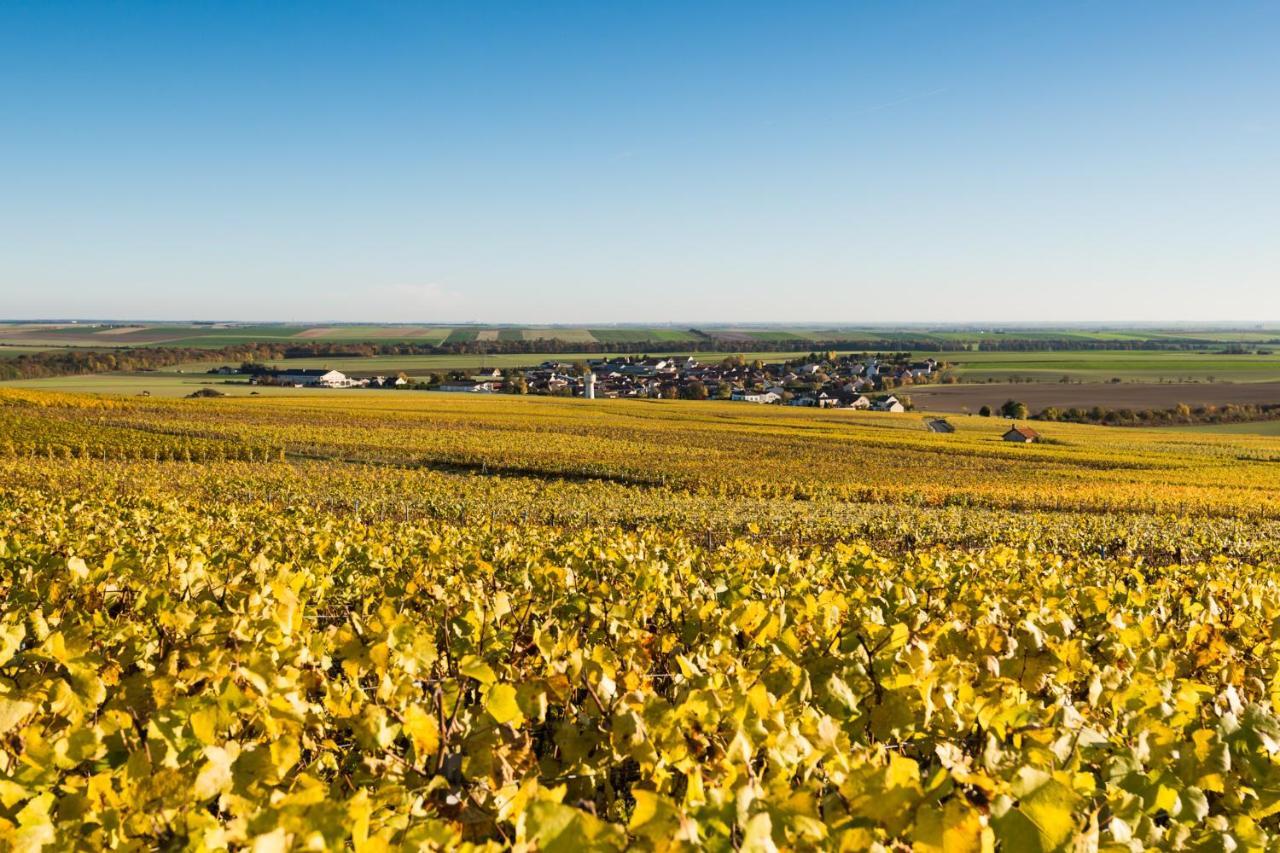 Le Clos Du Moulin Vaudemange Eksteriør billede